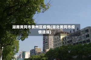 湖南黄冈市黄州区疫情(湖北黄冈市疫情速报)