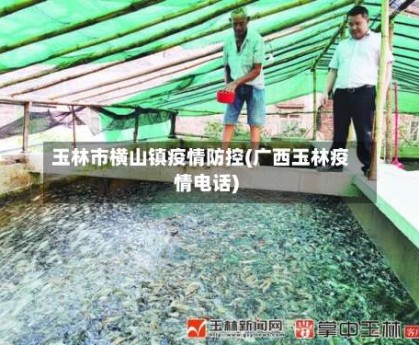 玉林市横山镇疫情防控(广西玉林疫情电话)