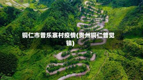 铜仁市普乐寨村疫情(贵州铜仁普觉镇)-第3张图片