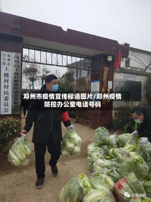 邓州市疫情宣传标语图片/邓州疫情防控办公室电话号码-第1张图片