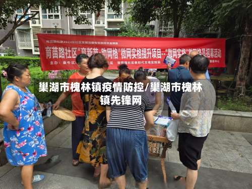 巢湖市槐林镇疫情防控/巢湖市槐林镇先锋网-第3张图片
