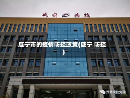 咸宁市的疫情防控政策(咸宁 防控)-第1张图片